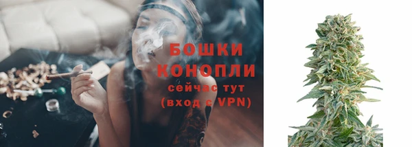 ГАЛЛЮЦИНОГЕННЫЕ ГРИБЫ Волосово