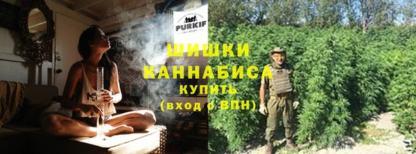 ГАЛЛЮЦИНОГЕННЫЕ ГРИБЫ Волосово