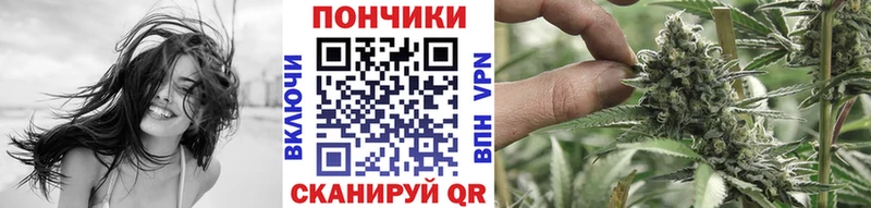 Канабис семена  продажа наркотиков  Дзержинск 